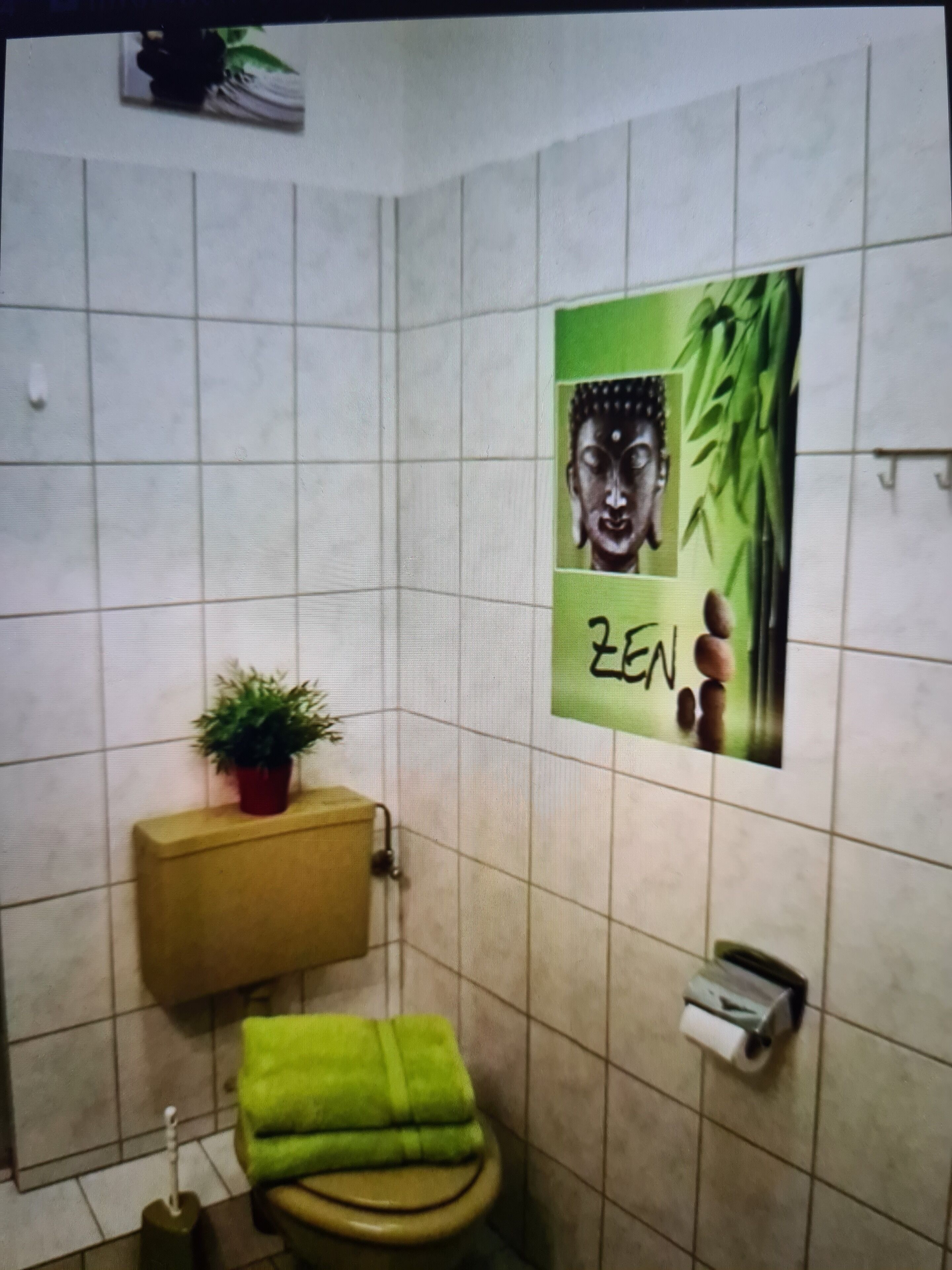 Een badkamer met een toilet, een groene handdoek, een potplant en een toiletrolhouder aan de muur.