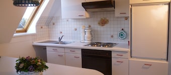 Familievenlig lejlighed med stor have