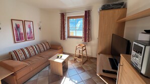 Télévision, cheminée, lecteur de DVD, chaîne hi-fi