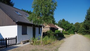A rural road with houses on one side.