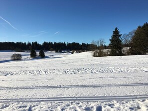 未分类图片,第 5 张,共 17 张,按钮