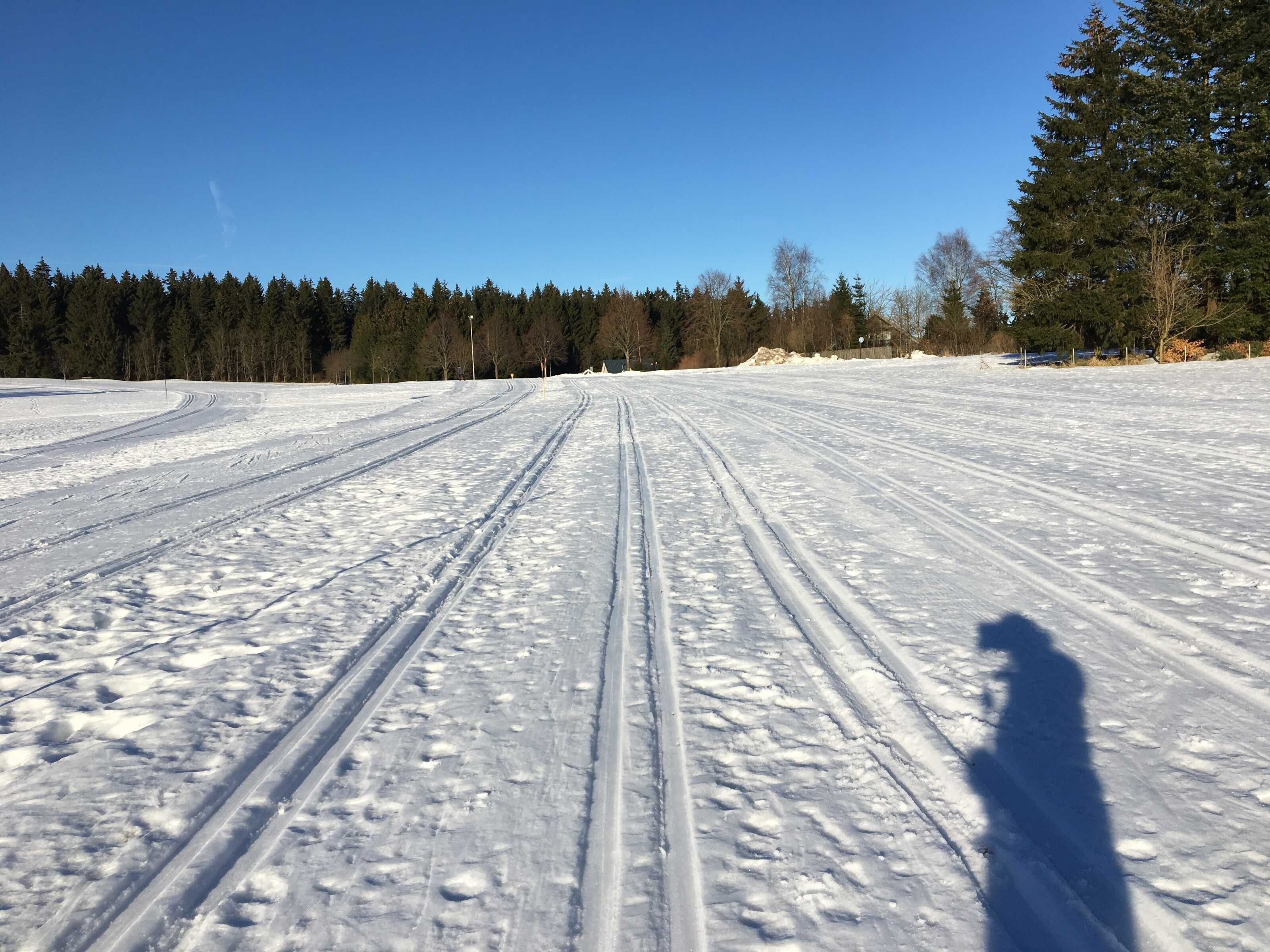 Schneebedeckte Landschaft mit Spuren, die ins Ferne führen, umgeben von Bäumen.