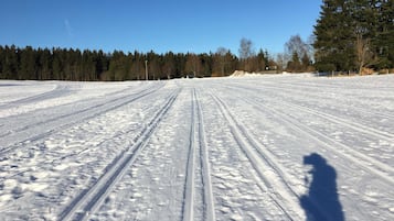 Schneebedeckte Landschaft mit Spuren, die ins Ferne führen, umgeben von Bäumen.