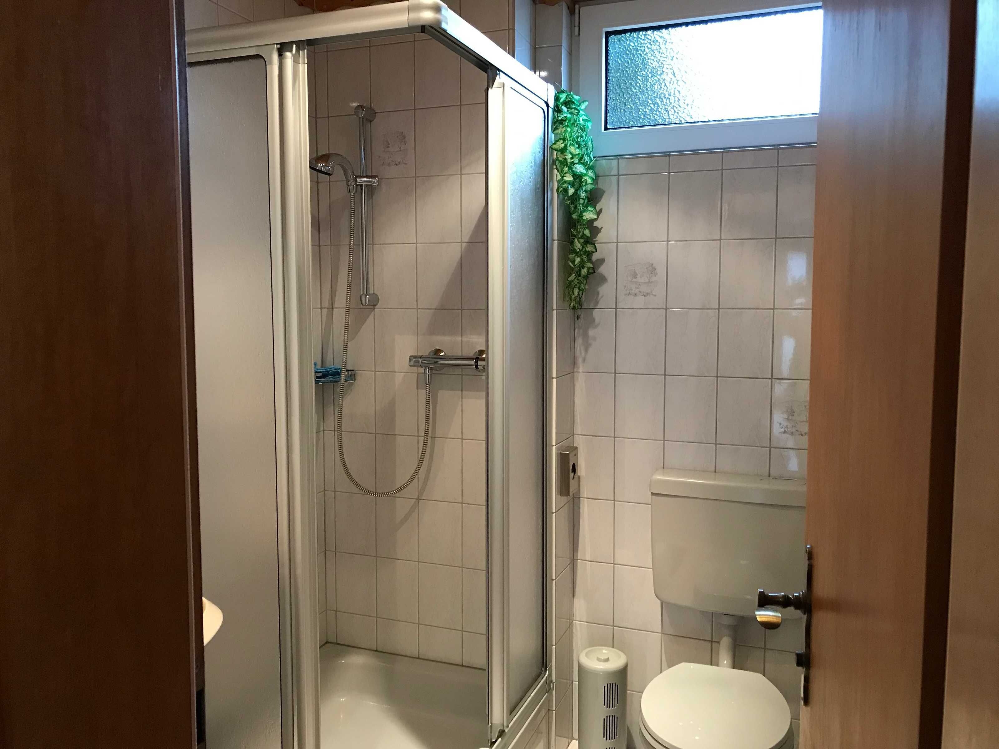 Ein Badezimmer mit einer Duschkabine, einer Toilette und einem Fenster mit Aussicht.