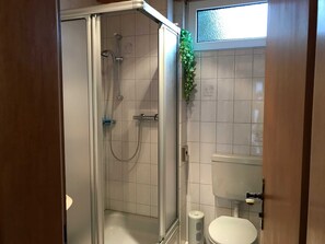 A bathroom with a glass-enclosed shower, a toilet, and a window with a view. - Private rental Ina - holiday room (Clausthal-Zellerfeld)