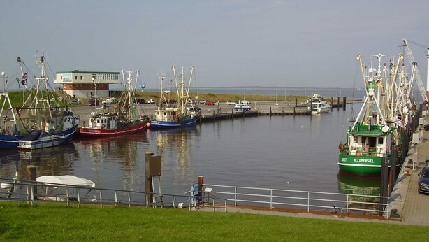 Un port de plaisance où sont amarrés plusieurs bateaux de pêche, une zone herbeuse au premier plan et un bâtiment en arrière-plan.