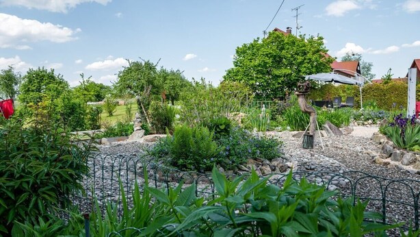 Un giardino con diverse piante e un recinto in metallo decorativo.