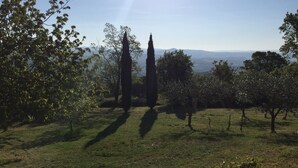 A grassy field with trees and a clear sky. - Eco house with pool and fantastic views (Scansano)