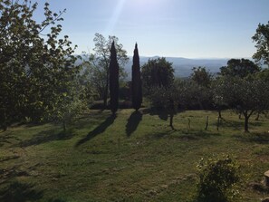 المنطقة المحيطة بالمنشأة