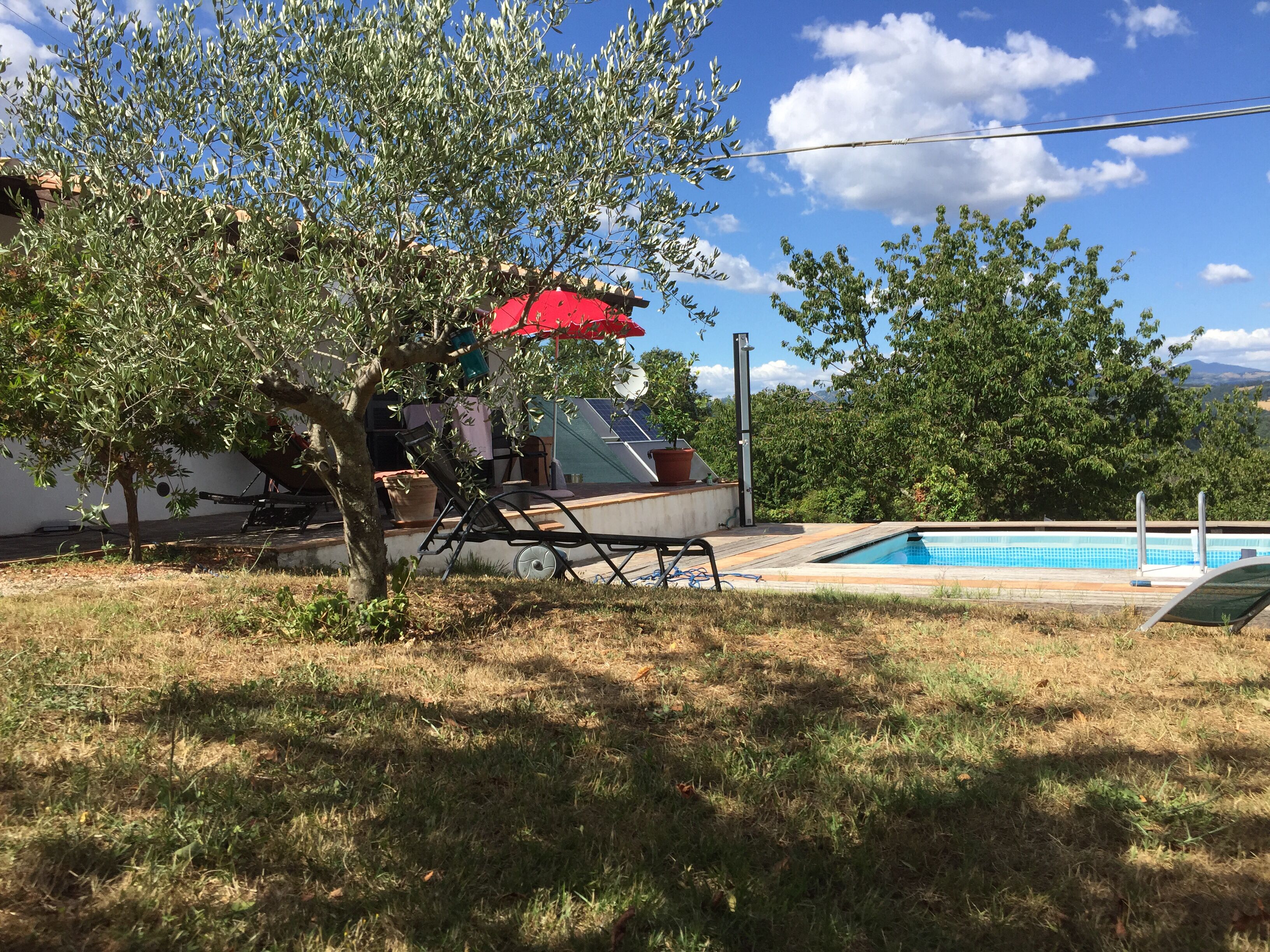 A backyard with a swimming pool, a red umbrella, and a tree.
