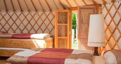 Modern yurt autumn life