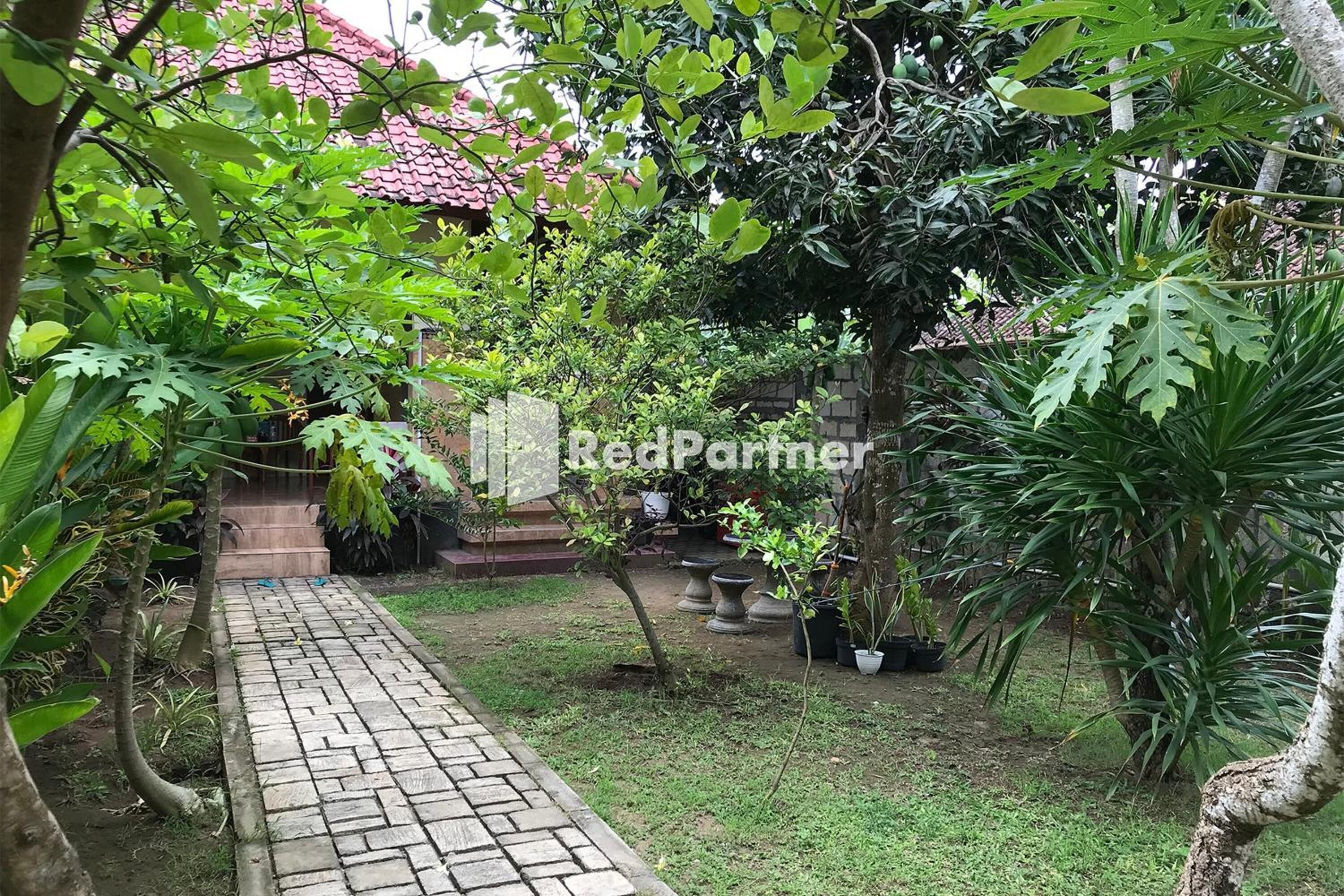 A garden with a paved pathway, various plants, and a brick structure.