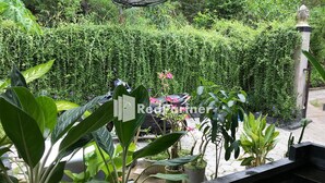 A koi pond surrounded by lush greenery and potted plants. - Visual Inn (Penida Island)