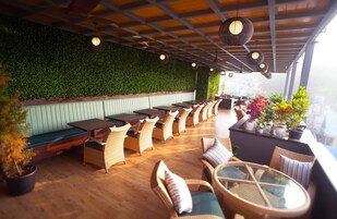 Un restaurante con una larga zona de asientos tipo banco, mesas de madera, sillas de mimbre y una pared verde cubierta de follaje.