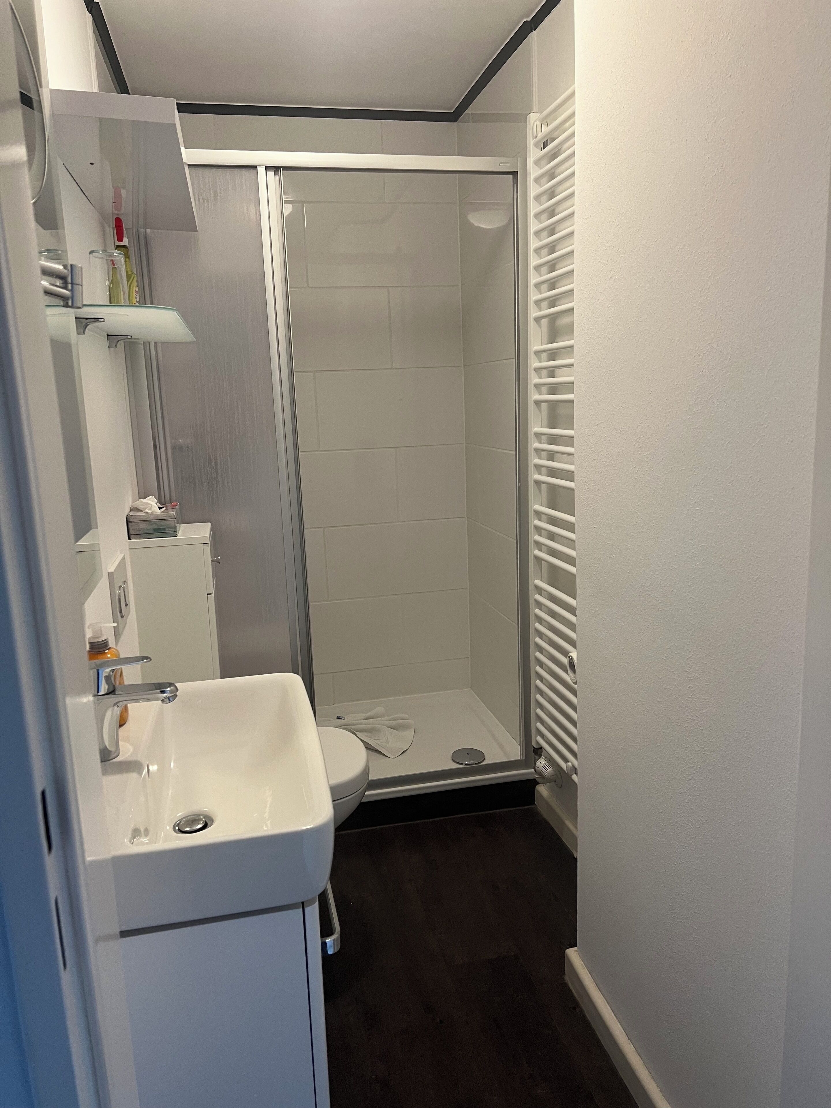 Une salle de bain avec douche, toilettes et lavabo.