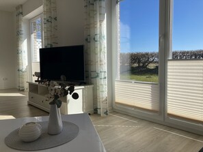 Fernseher, Stereoanlage