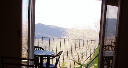 Apartment in detached house in Pieve, surrounded by nature and in a quiet location.