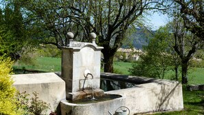 Ein Steinkonstrukt mit Wasserspeier, umgeben von Grünpflanzen und einem kleinen Garten.