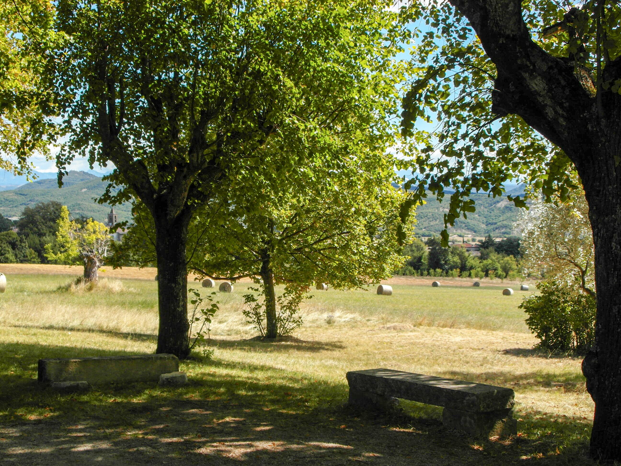 Un parc avec un banc en pierre, des arbres et des bottes de foin en arrière-plan.