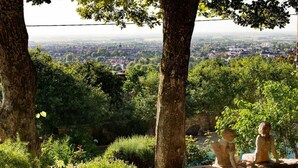 Vista desde un punto alto con vistas a un paisaje urbano, con árboles enmarcando la escena.