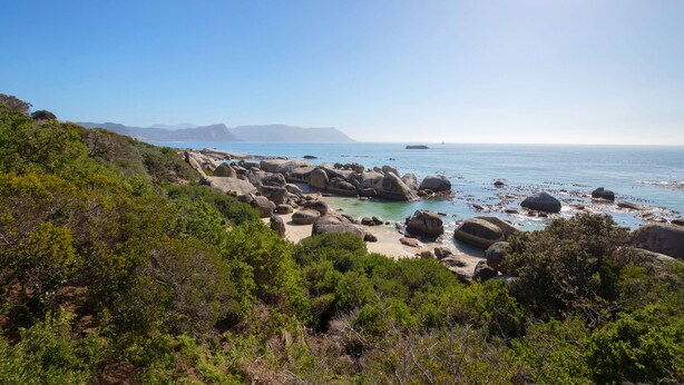 A coastal landscape with rocky terrain and dense greenery. - Whalesong Glencairn (Cape Town)