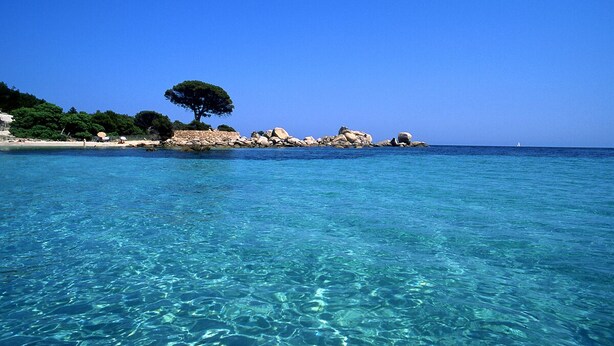 A coastal beach with clear blue water, rocky shoreline, and a lone tree. - House 150 meters from the beach PALOMBAGGIA private access (PORTO VECCHIO)