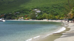 A beach with a sandy shore, clear water, and lush greenery in the background.