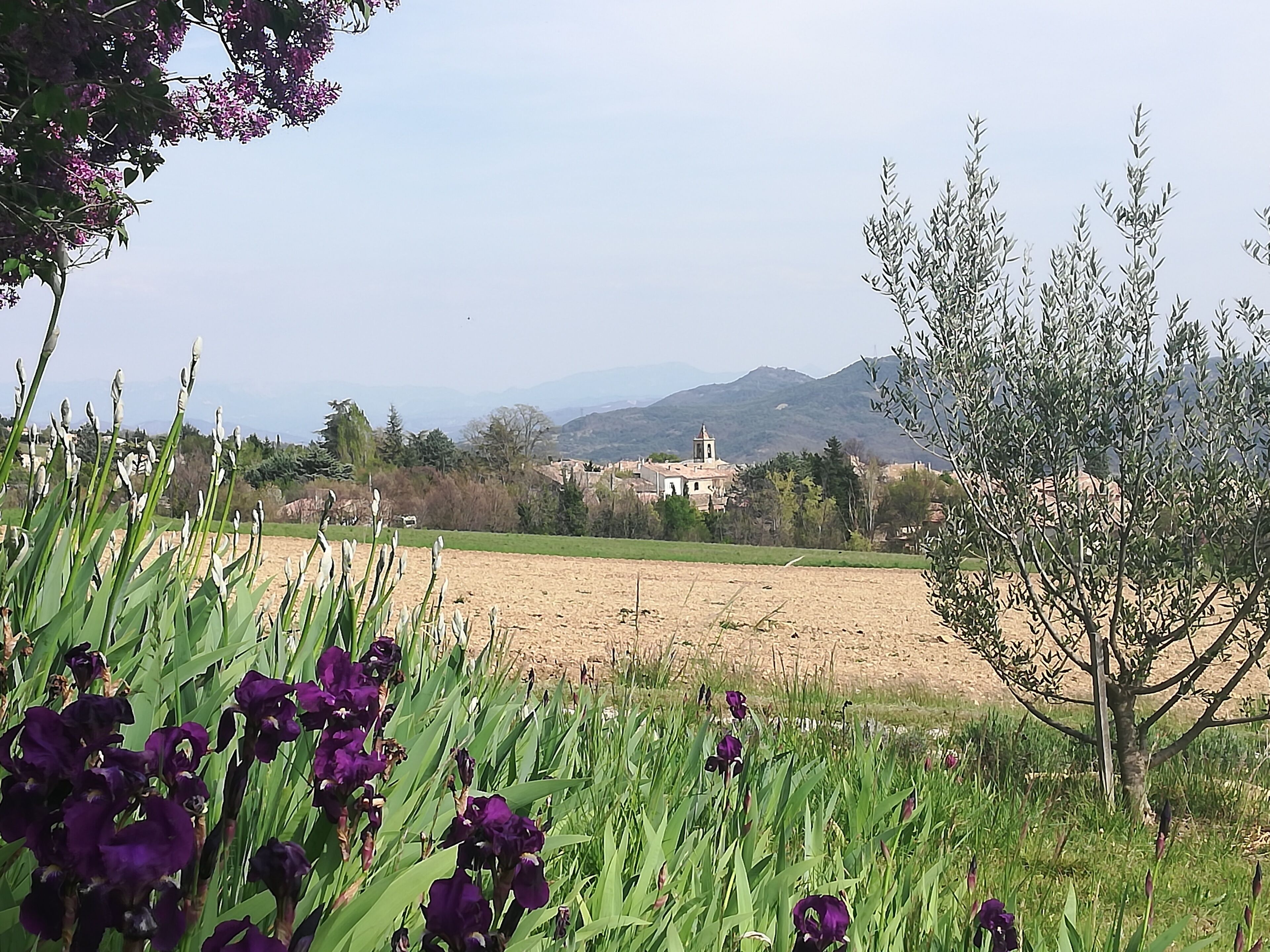 A rural landscape with fields, a church, and mountains in the background.