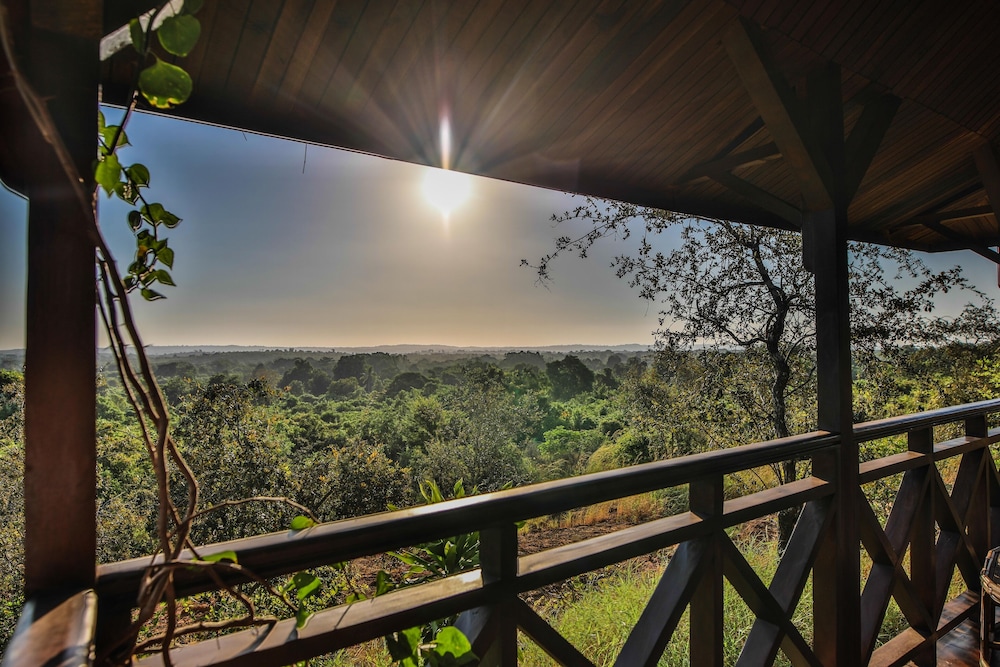 L'Olympe du Bemaraha by null