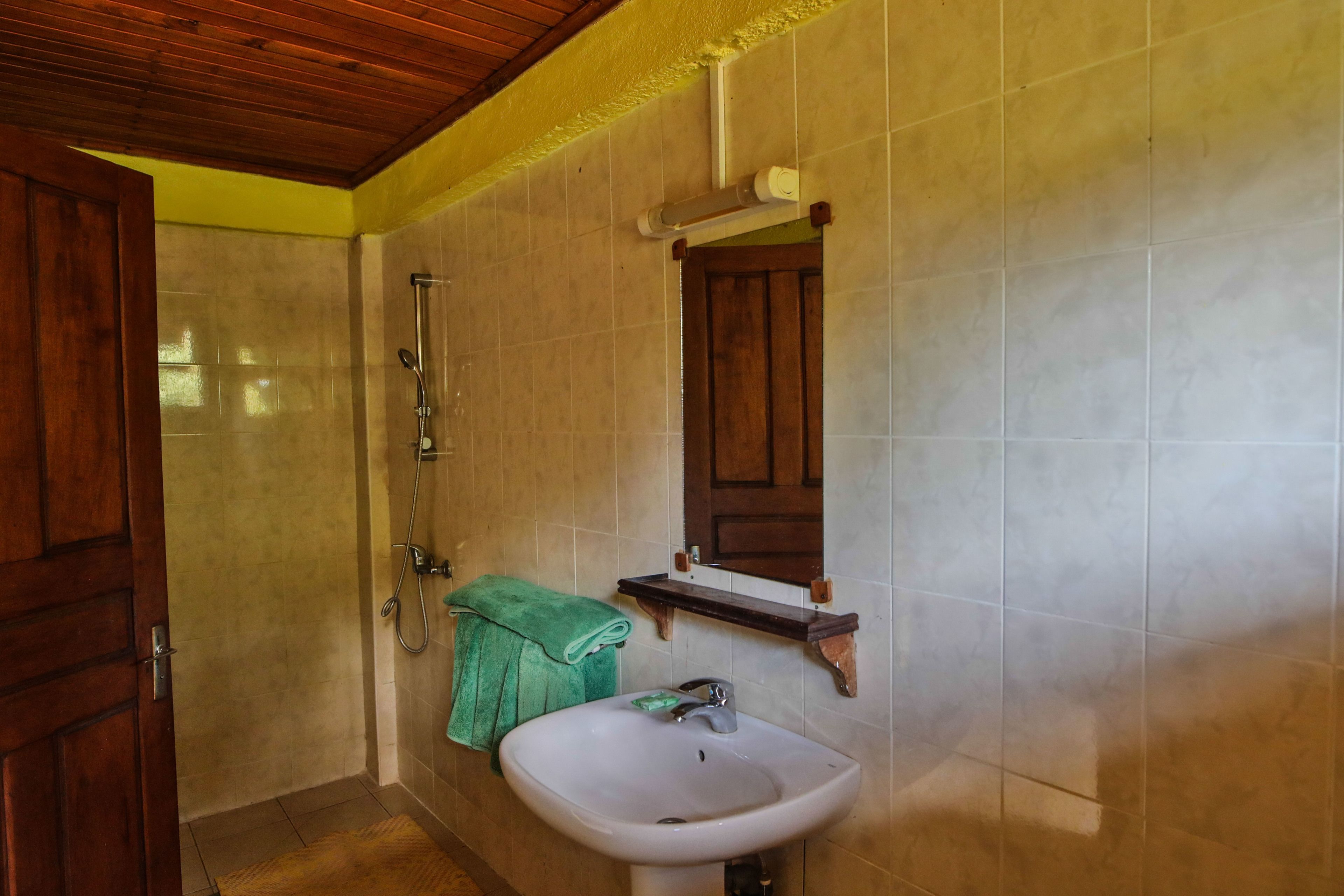 Een badkamer met een houten deur, een wastafel, een douche en een handdoekhouder.