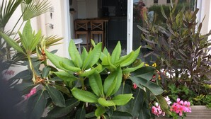 Property grounds - Studio for rent Port la FOET - Fouesnant 29940 (La Forêt-Fouesnant)