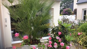 Property grounds - Studio for rent Port la FOET - Fouesnant 29940 (La Forêt-Fouesnant)