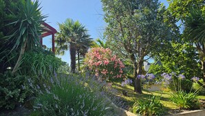 A garden with various plants and a gazebo. - Comfortable family home a stone's throw from the GR34 and beaches (Crozon)