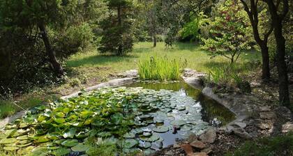 Ruhiges Haus mitten in der Natur, ideal für Familien und Entspannung