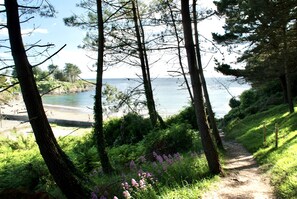 Plage