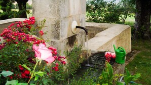 A garden with a water feature, including a fountain and a rose bush.