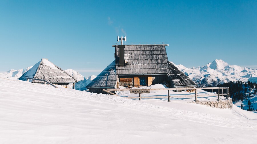 Koca Ojstrica - Velika planina