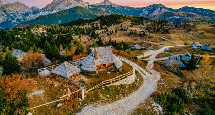 Koca Ojstrica - Velika planina