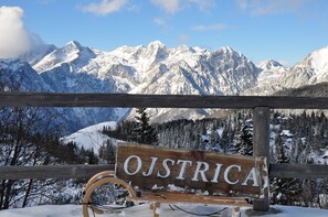 Chalet de lujo, 2 habitaciones (Ojstrica) | Terraza o patio