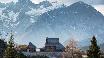 Luxury Chalet, 2 Bedrooms (Ojstrica) | Terrace/patio