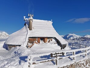 Chalet de lujo, 2 habitaciones (Ojstrica) | 2 habitaciones, minibar, espacio para trabajar con laptop y wifi gratis 