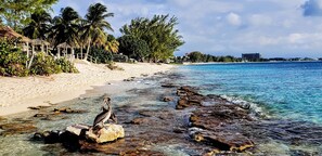 On the beach, beach towels