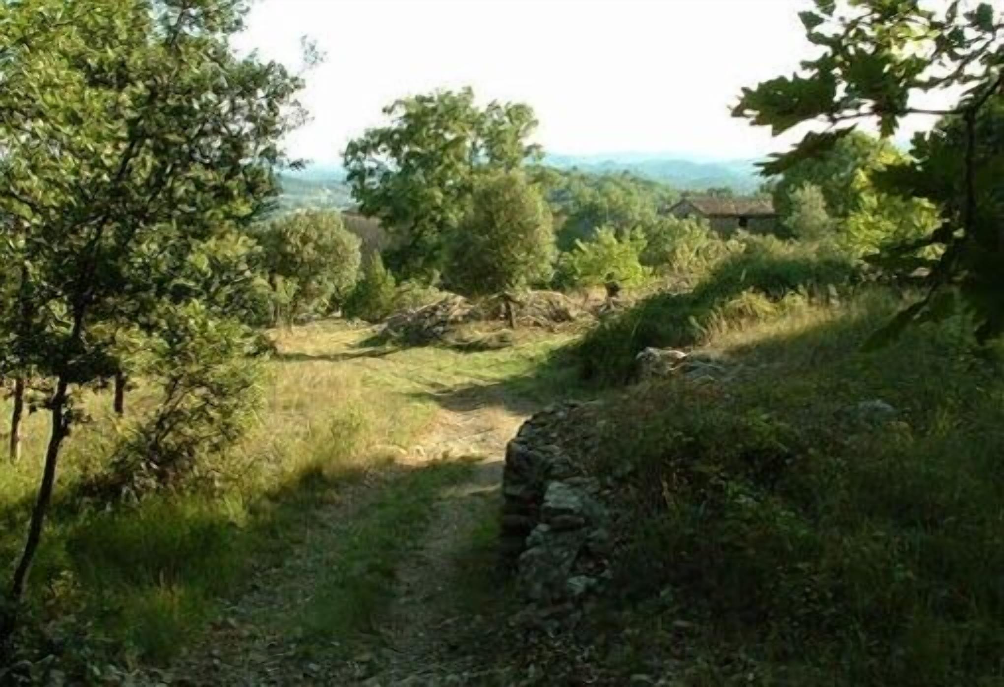 A rural landscape with a stone wall and a path leading through a wooded area.