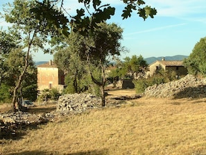 Property grounds - Typical 17th-Century Cevenol farmhouse at the heart of nature, outstanding view (Saint-Julien-Les-Rosiers)