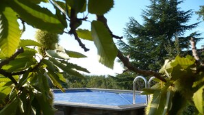 A wooden cabin with a swimming pool, surrounded by trees and greenery.