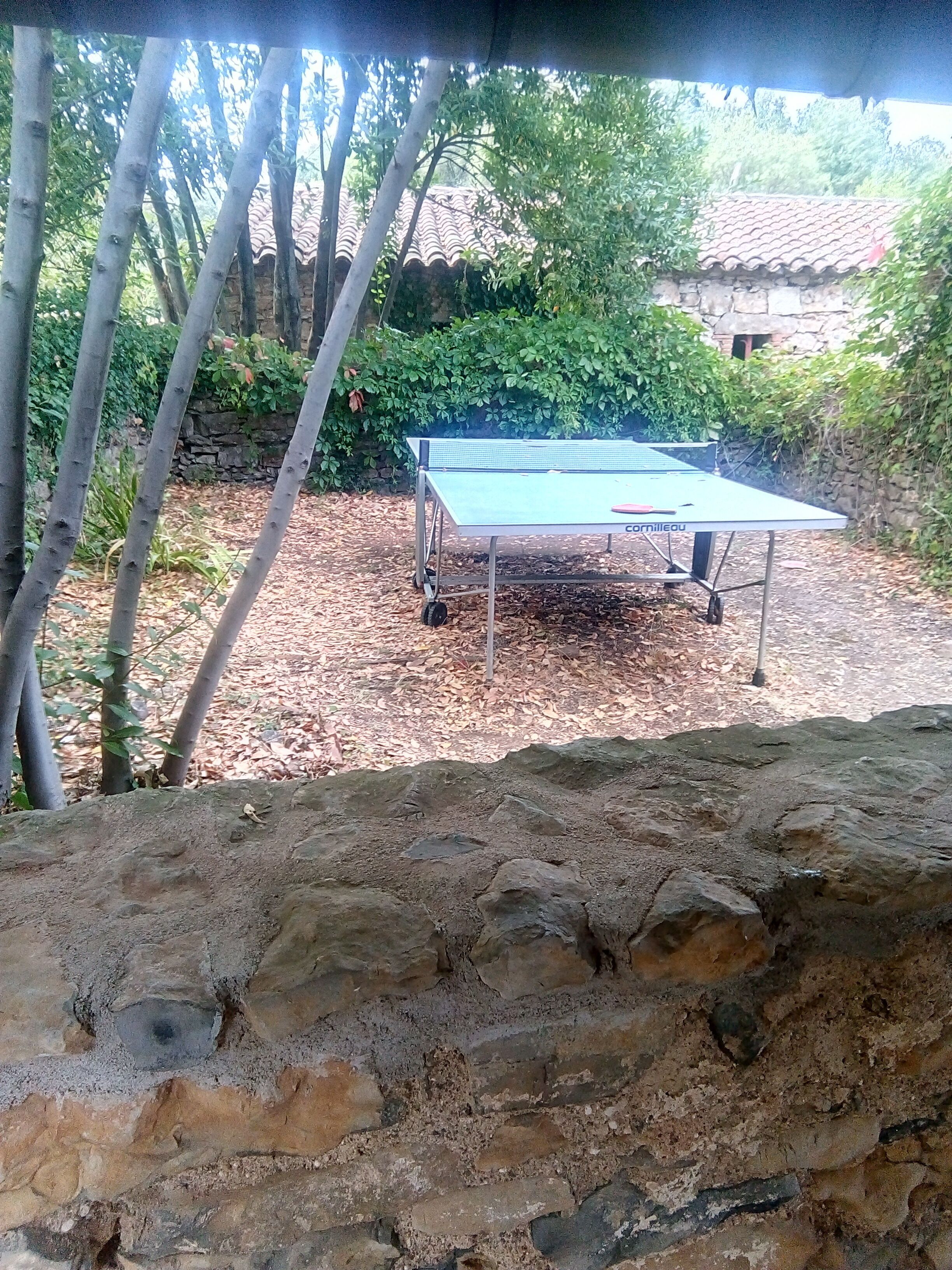 A ping pong table in an outdoor area with a stone wall and bamboo in the foreground.