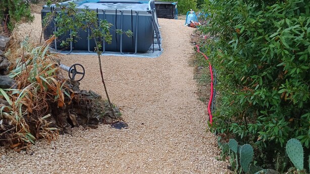 A gravel path leading to a building with a blue roof, surrounded by greenery and cacti.