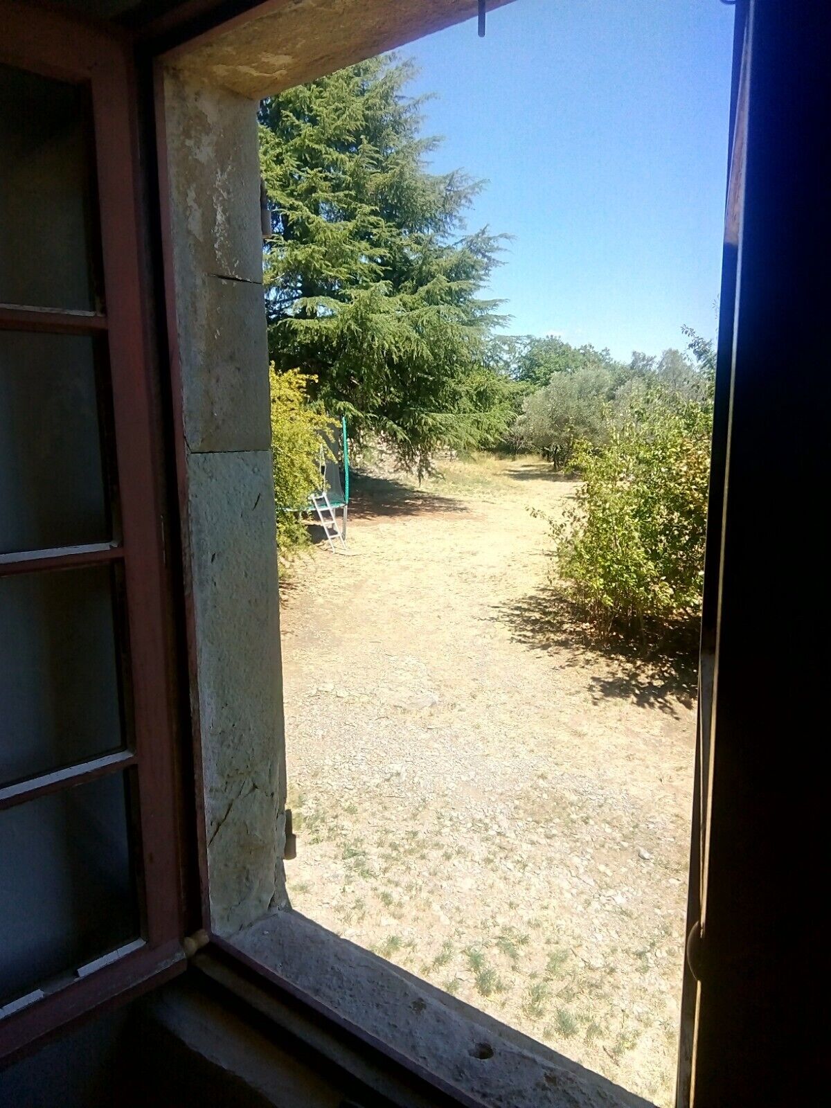 A view from a window to an outdoor area with a dirt path, a ladder, and various trees.
