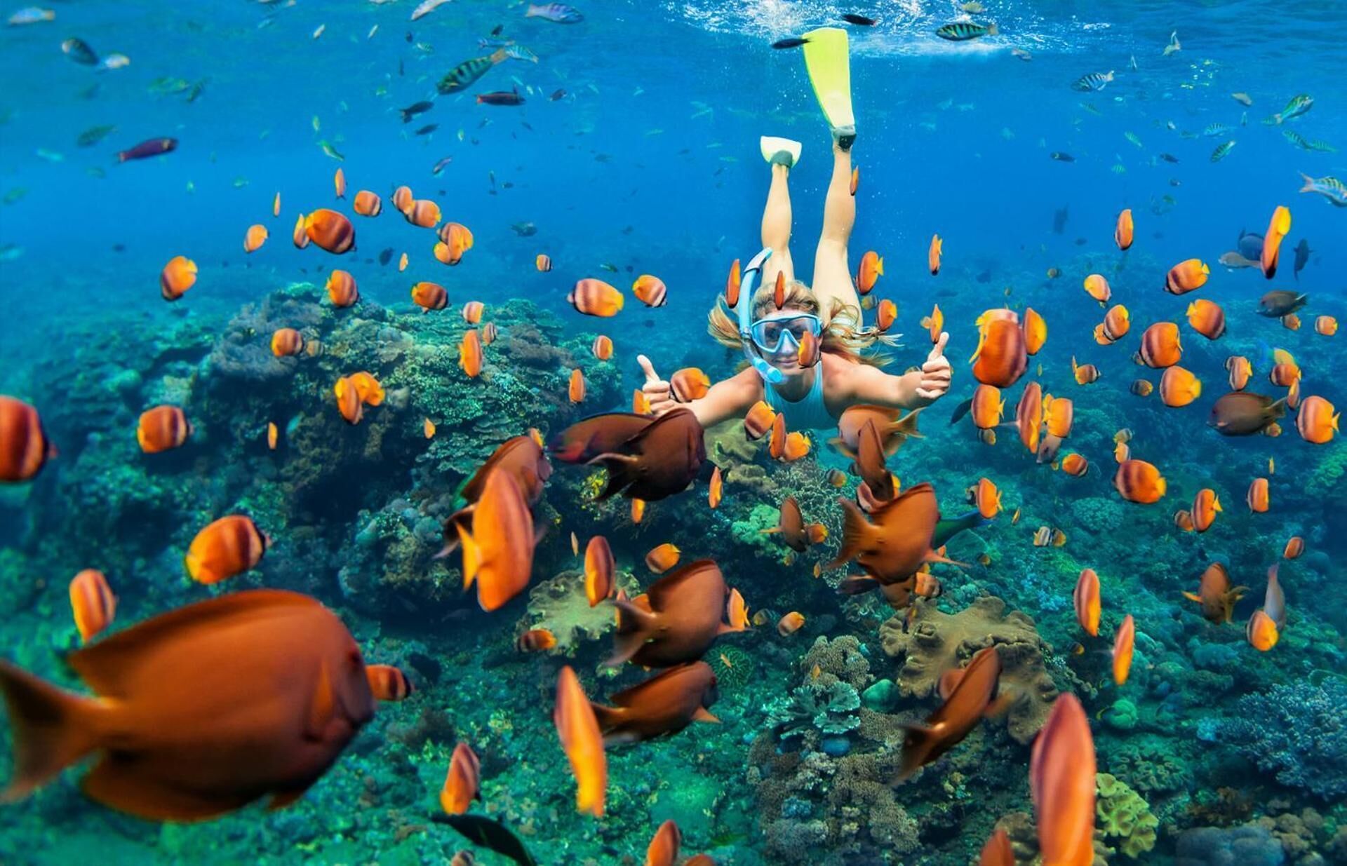 Photo - Mamamia Island Villa