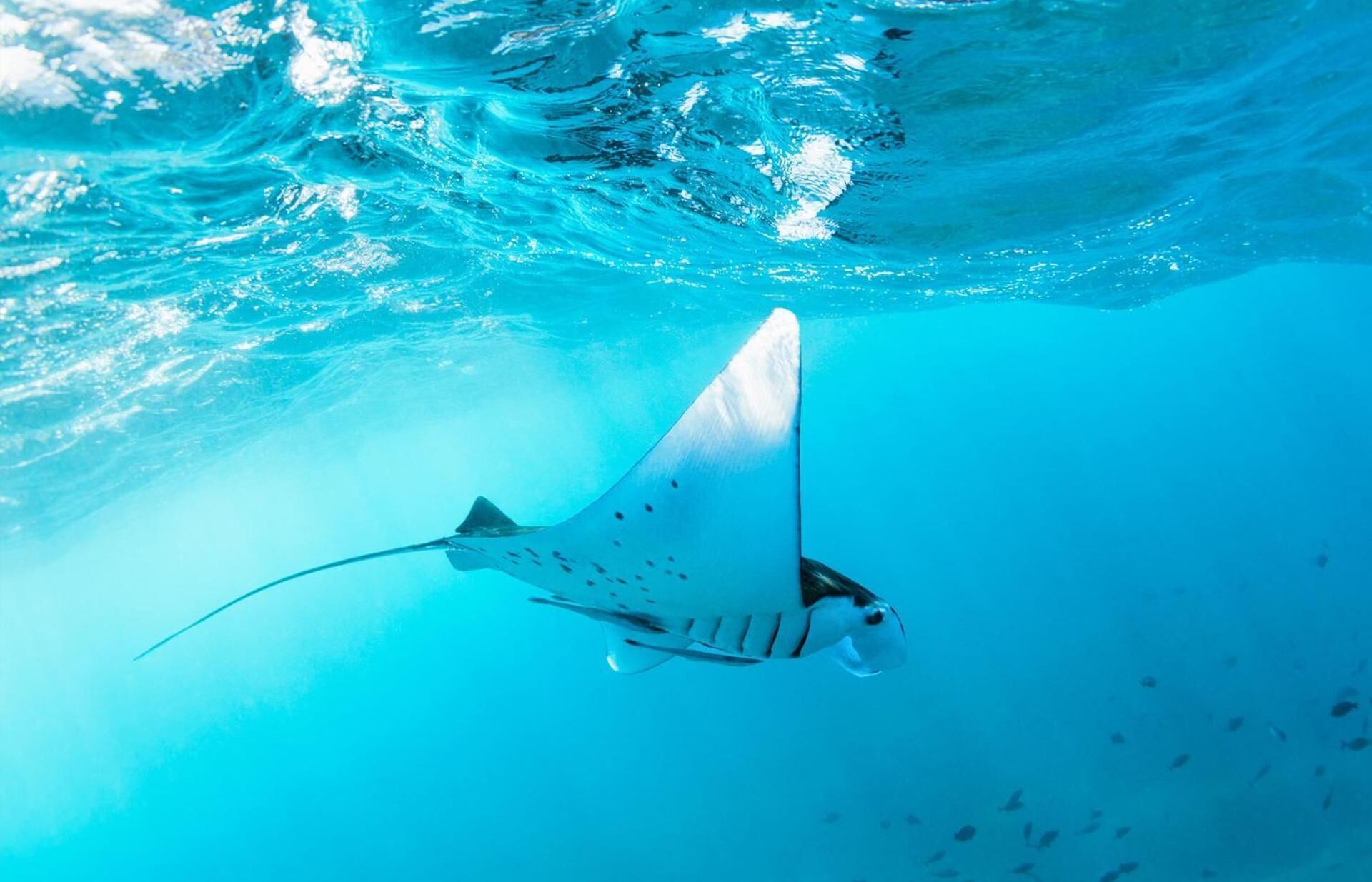 Photo - Mamamia Island Villa